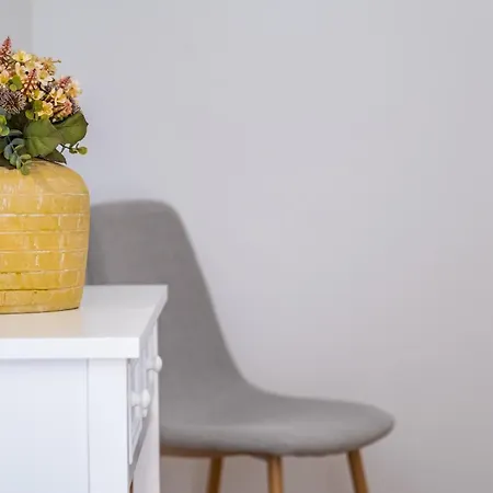 Casa Magnolia 丰沙尔