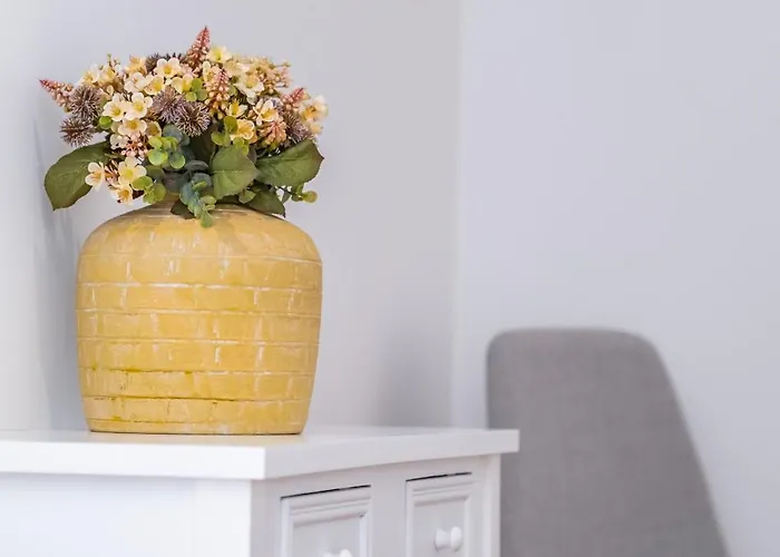 Casa Magnolia 푼샬